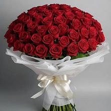 Букет 101 Красная роза Блэк Мэджик в Фокино Приморского края