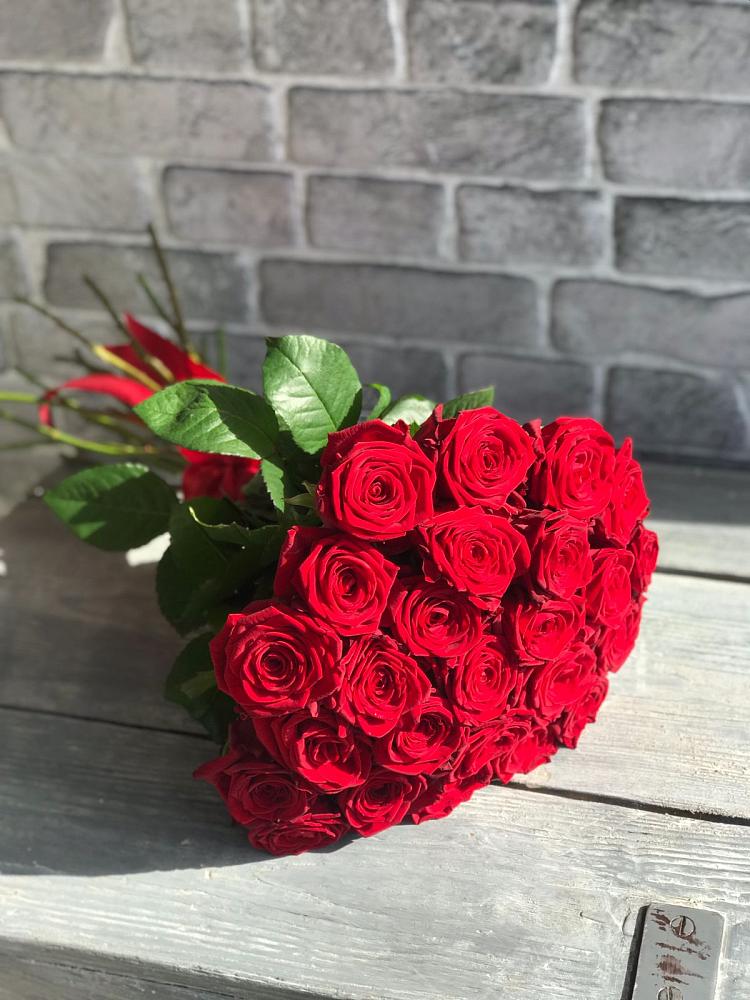 Букет Красные розы Фридом в Фокино Приморского края