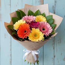 Букет цветов из:  Герберы #REPLACE_PRED# Фокино Приморского края