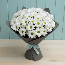 Букет цветов из:  Хризантемы #REPLACE_PRED# Фокино Приморского края