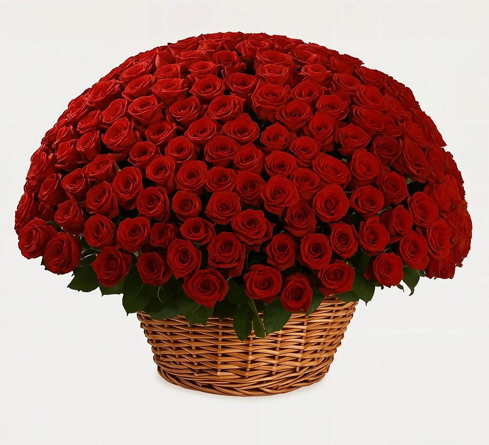 Премиум букет из: Розы в Фокино Приморского края