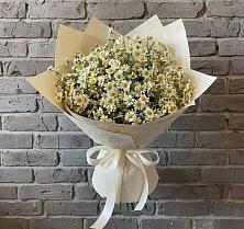 Букет цветов из:  Ромашки в Фокино Приморского края