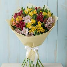 Букет цветов из:  Альстромерии в Фокино Приморского края