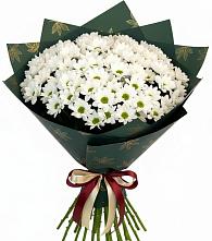 Букет цветов из:  Хризантемы в Фокино Приморского края