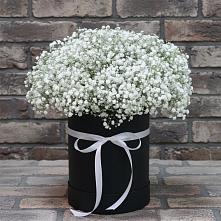 Цветочная композиция из Гипсофила в шляпной коробке в Фокино Приморского края