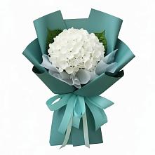 Букет цветов из:  Гортензия в Фокино Приморского края